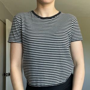Everlane Cropped Striped Ringer Tee